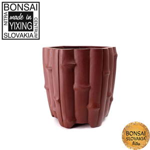 YIXING - MINI BONSAI MISKA BAMBUS 8