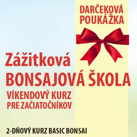 Zážitková bonsajová škola  ZAČÍNAJÚCI BONSAJISTI 2 DNI