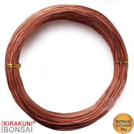 KIRAKUNI PROFESSIONAL - Medený drôt 500g Ø 1 mm