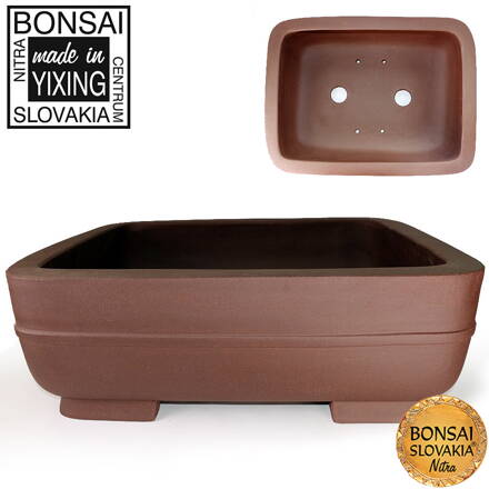 YIXING - BONSAI MISKA MOYOGI 43