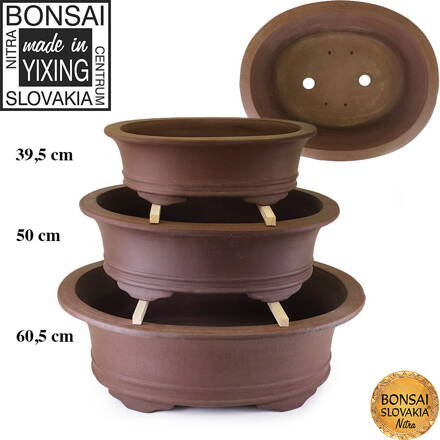 YIXING - BONSAI MISKA JOJI 39,5-50-60,5