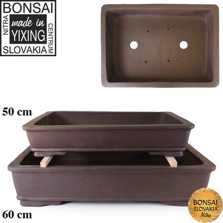 YIXING - BONSAI MISKA GORO 50-60
